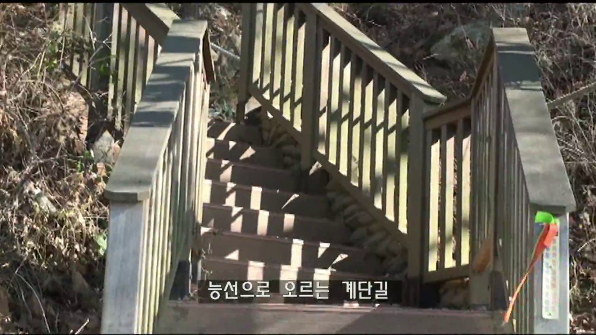 푸른 하늘을 배경으로 올려다본 낙조전망대 조형물
