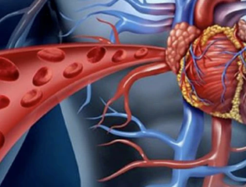 공진단-효능-먹는법-건강