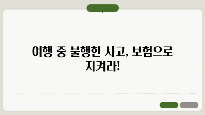 안전한 여행을 위한 필수 본麗, 여행자 복