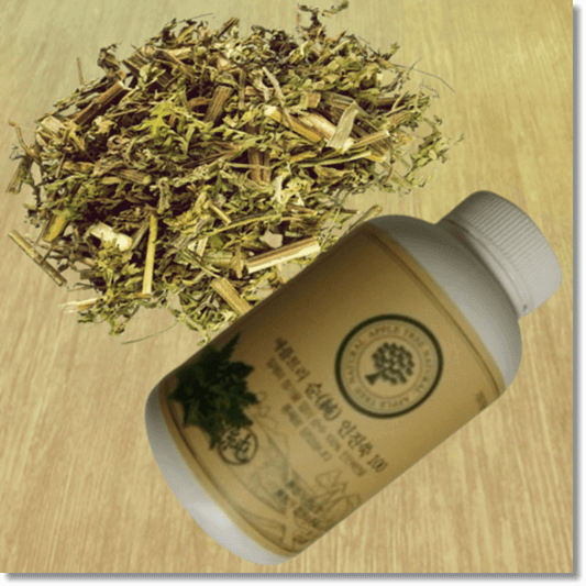 인진쑥 차와 환 보충제