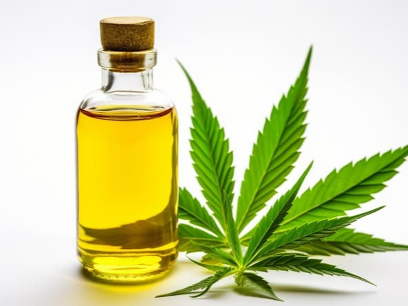 올리브유 혈중 LDL 감소