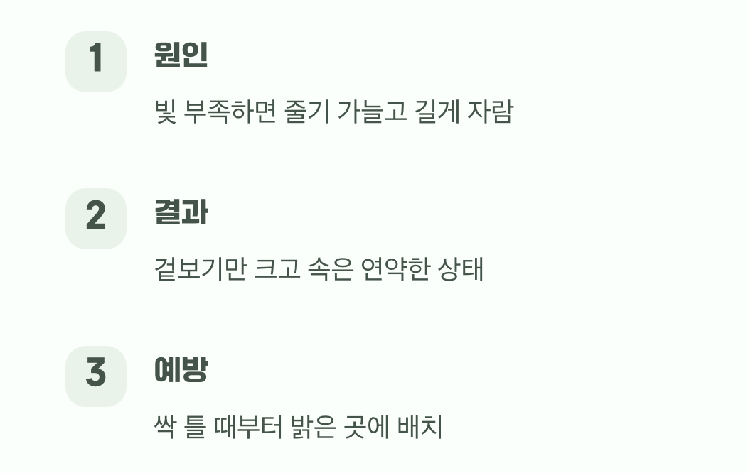 약한 허리, 웃자람의 결과