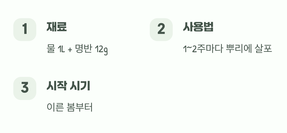 파란색을 위한 마법 가루, 명반