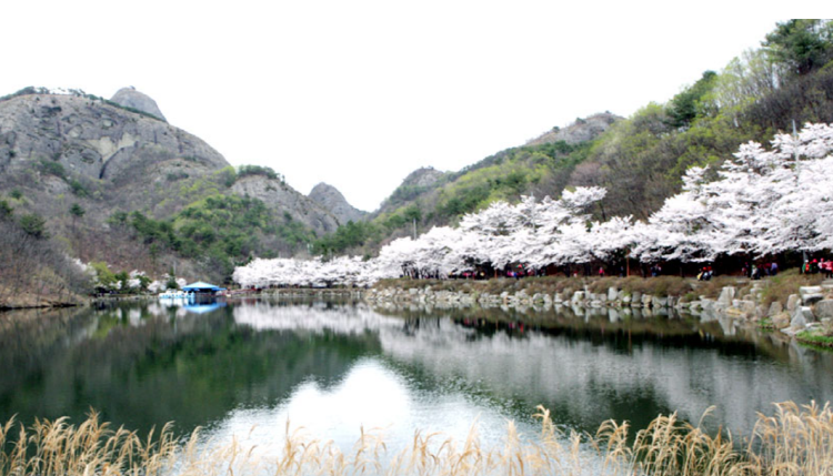 마이산 등산코스