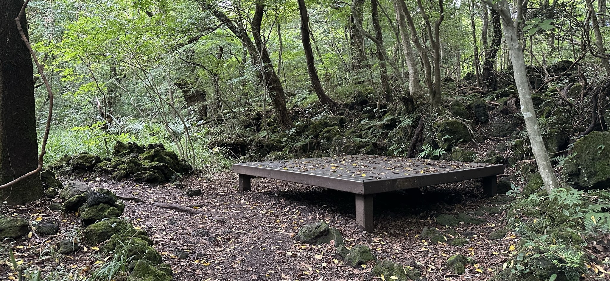 관찰로 휴식마루