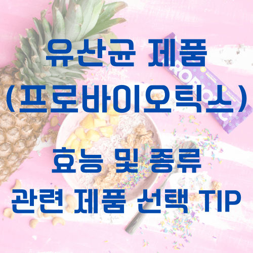 유산균_프로바이오틱스_대표사진