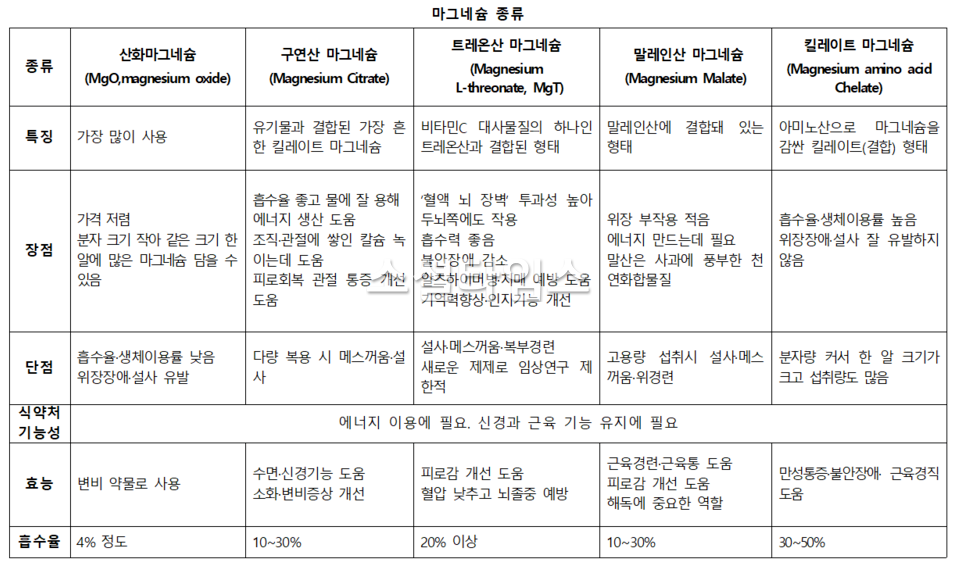 마그네슘영양제 종류
