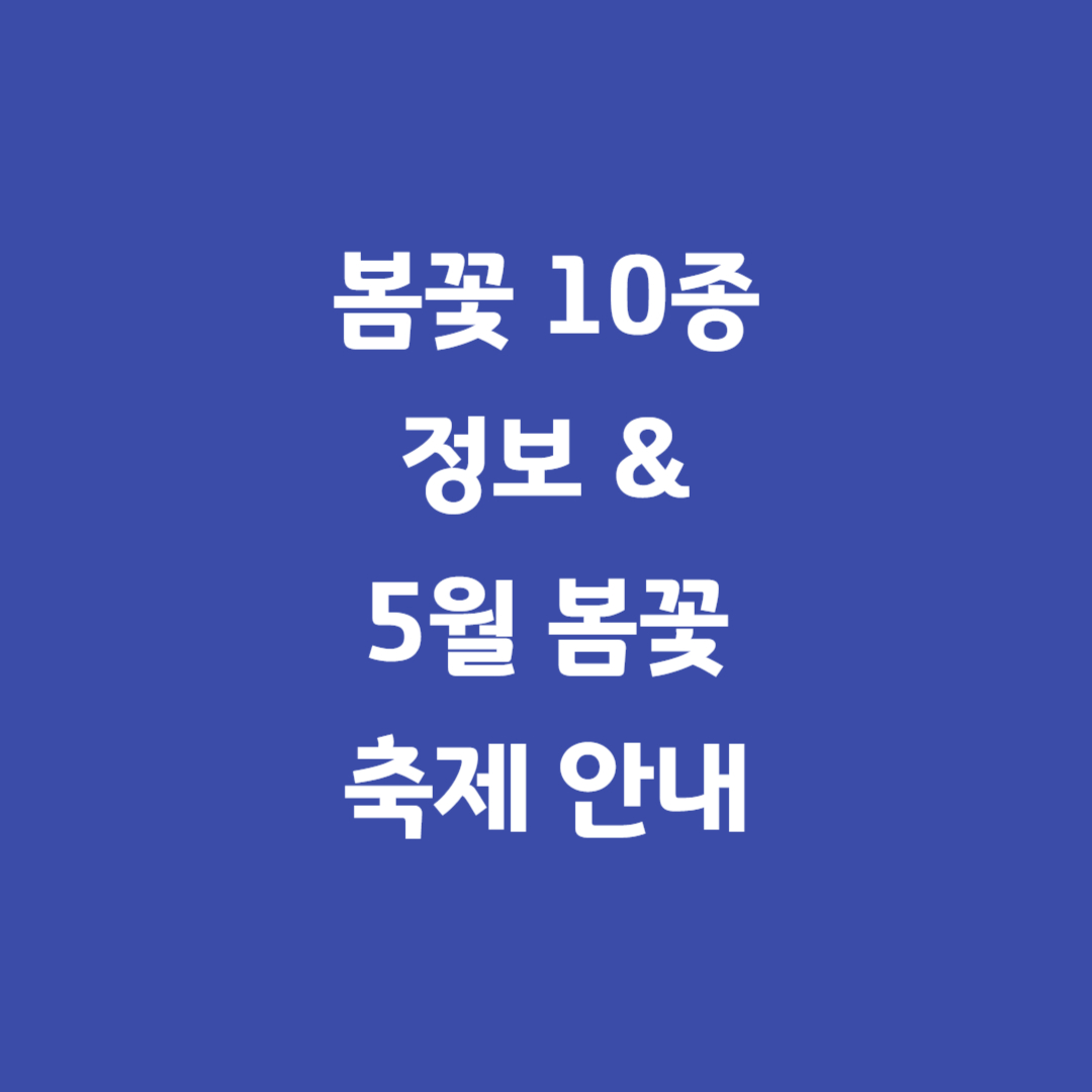 봄꽃대표10가지