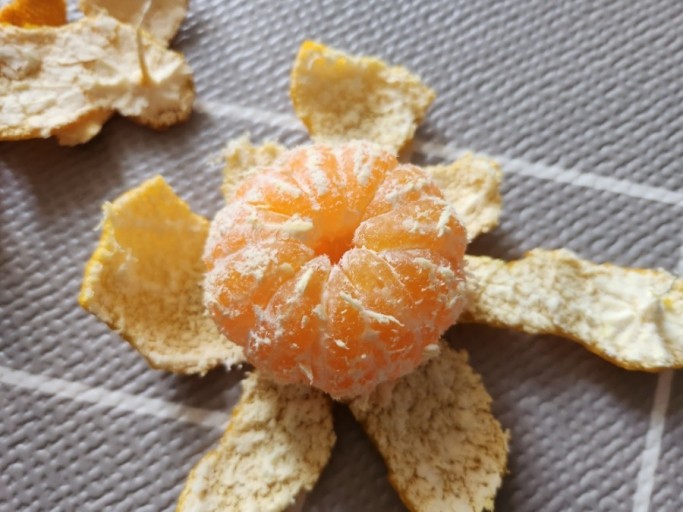 귤껍질 일반쓰레기