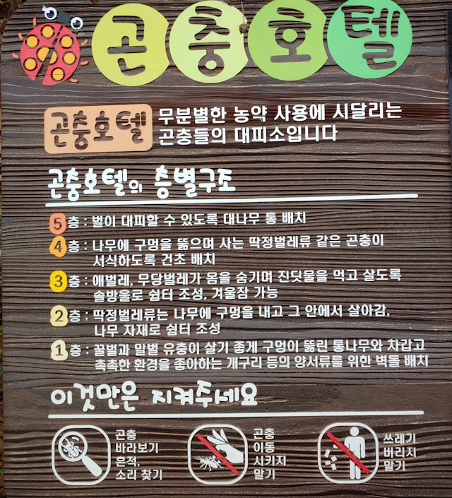korean-spacing-rules-and-particle-usage-guide.jpg