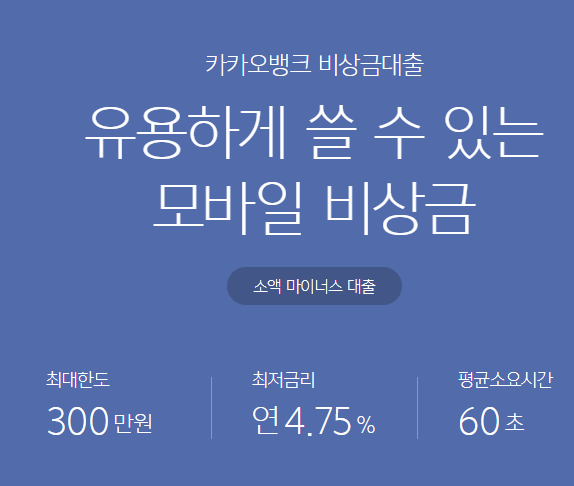 소액대출 300만원