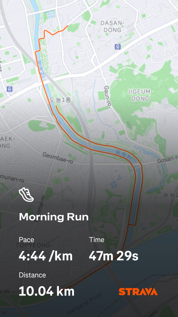 미즈노 웨이브 레벨리온 플래쉬3 10km러닝기록