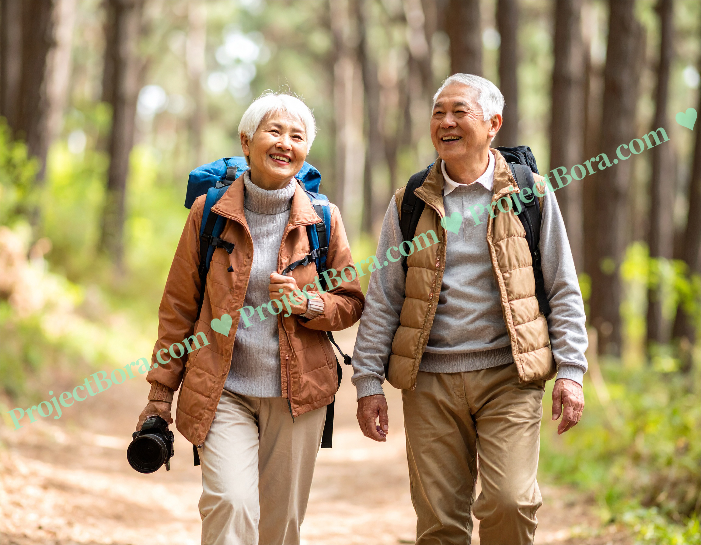 기초연금, 노인, 취미, 등산,