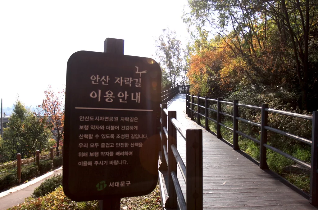 본격적인 안산자락길의 서막을 알리는 진입로.