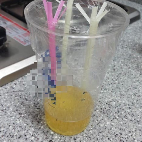 초파리 없애는 법 트랩 만들기