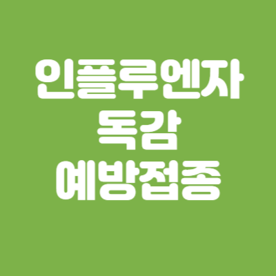독감예방접종 무료대상자 지정병원 가격비교(2023년)