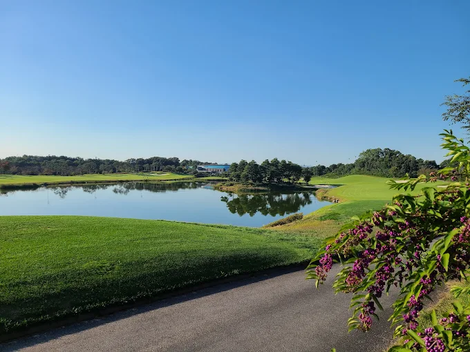 이천시 마이다스CC 골프앤리조트 소개 및 예약방법