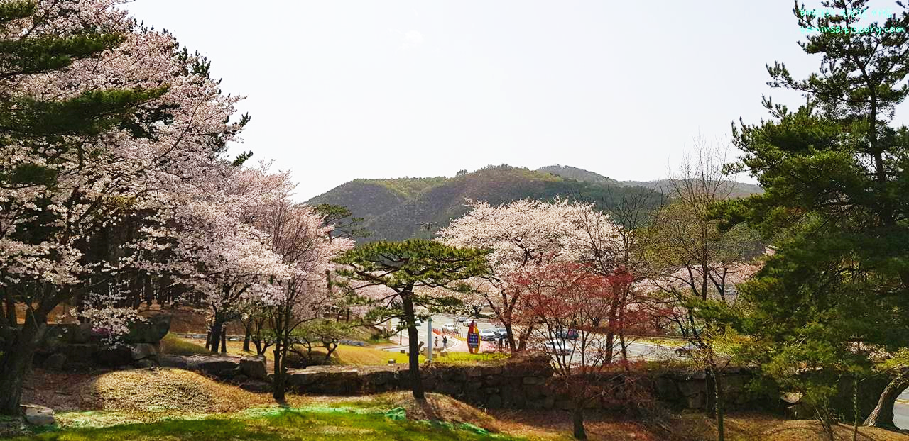 경주보문호물너울공원