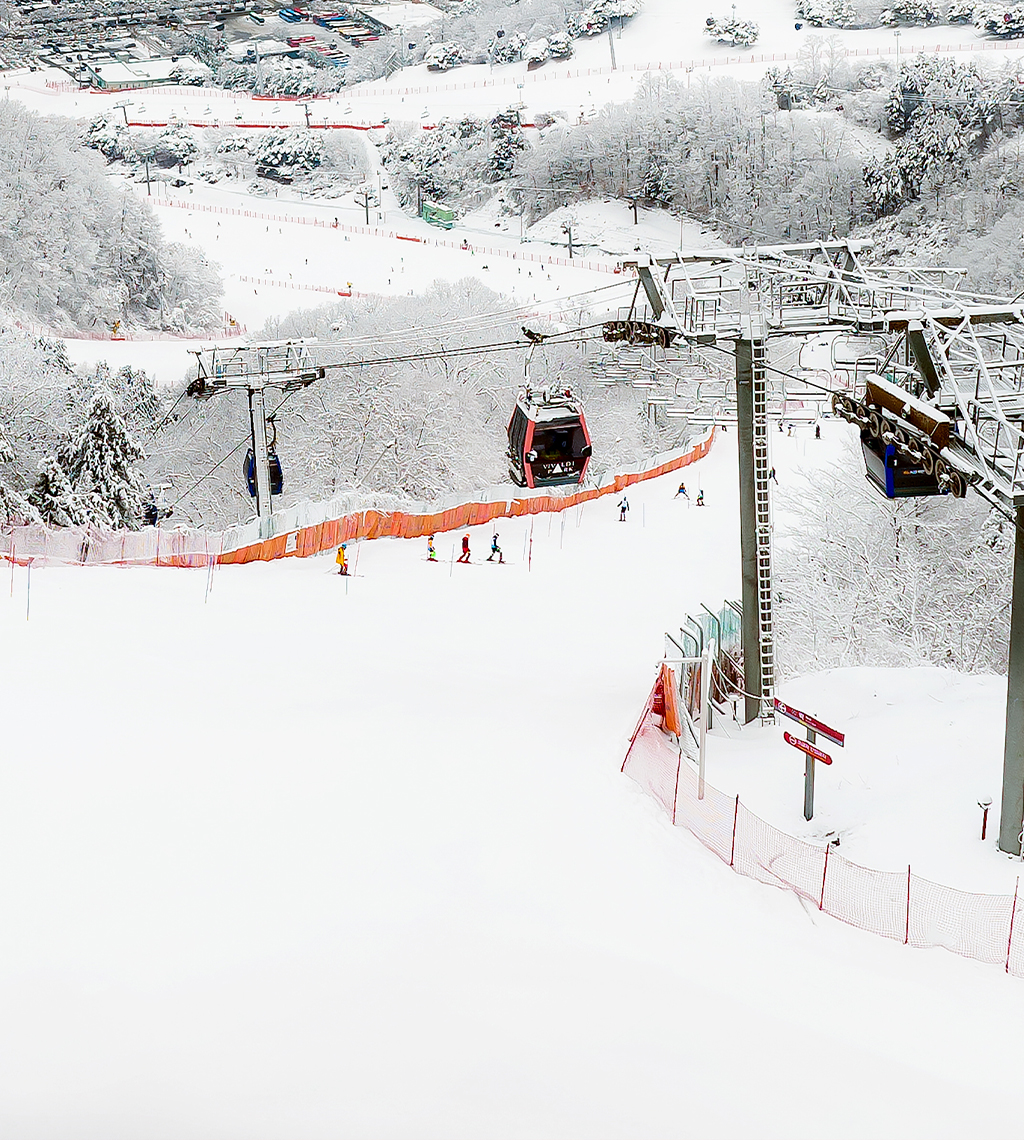 비발디파크 스키장 시즌권 25/26 할인 특가 정리