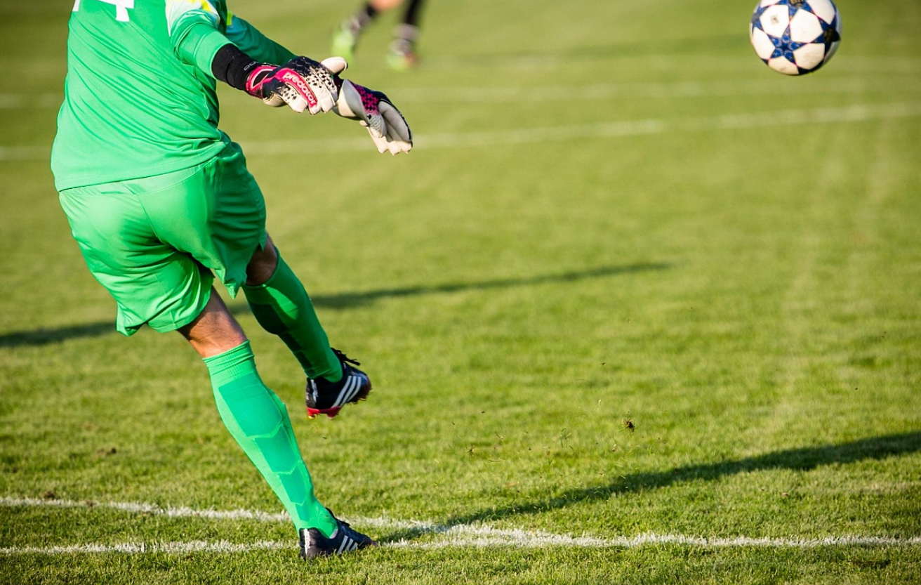 대한민국 축구 관련 이미지