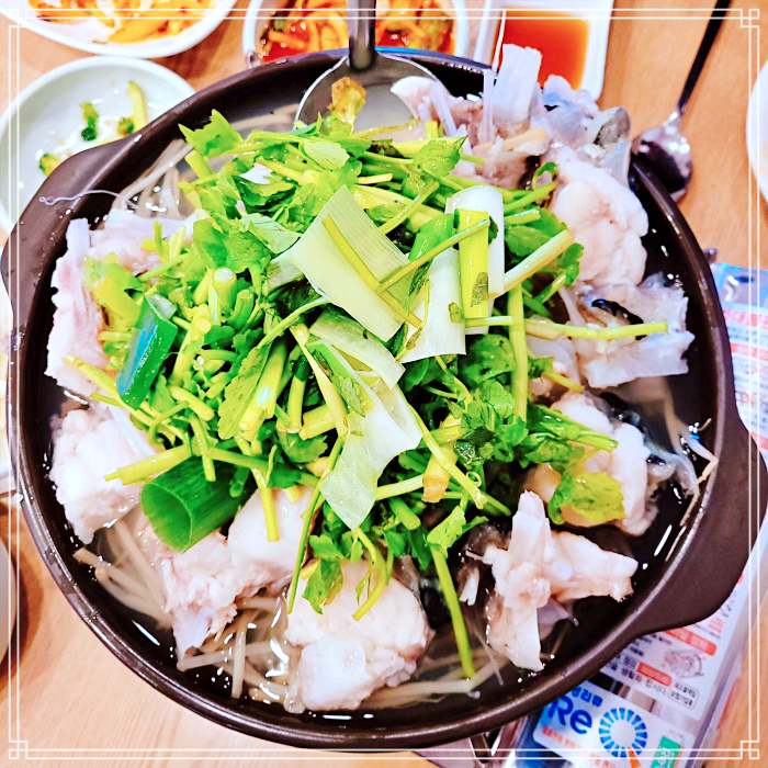 잠실, 종합운동장, 강남 맛집 아귀회, 아귀수육, 아귀 코스요리