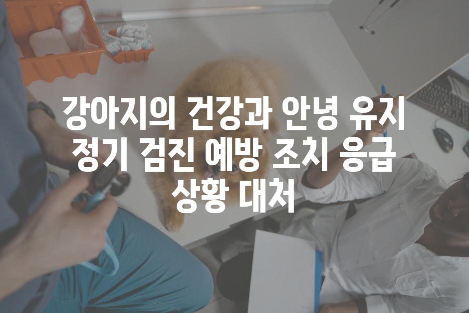 강아지의 건강과 안녕 유지 정기 검진 예방 조치 응급 상황 대처