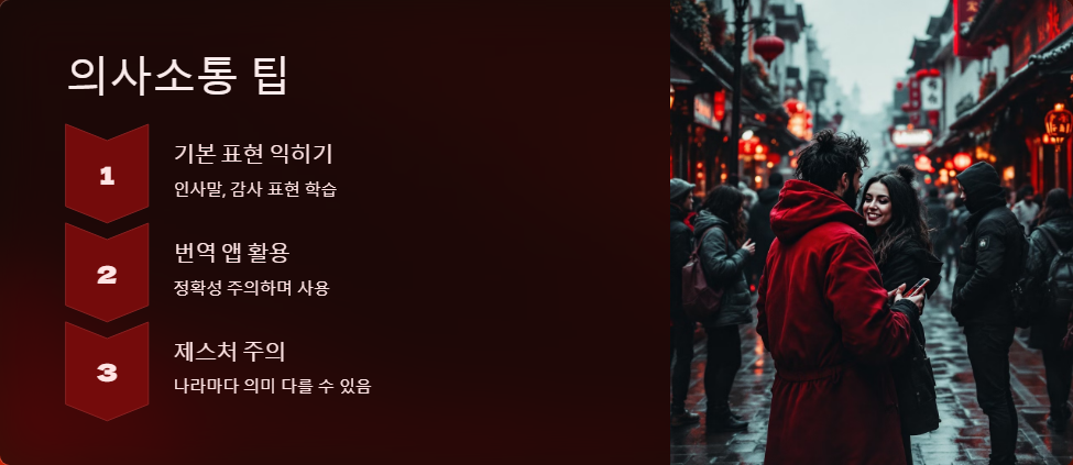 여행정보