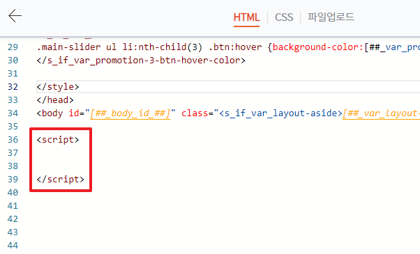 body 태그 내부 script 태그 삽입