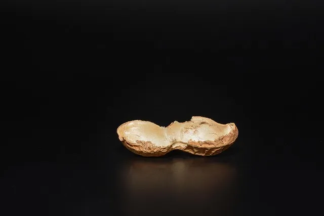 과태료까지 과일(사과&amp;#44;배&amp;#44;바나나&amp;#44;귤&amp;#44;오렌지&amp;#44;수박껍질)&middot;야채 버릴 때 음식물쓰레기 vs 일반쓰레기 완벽 정리 가이드(+생활폐기물 분리배출 누리집)