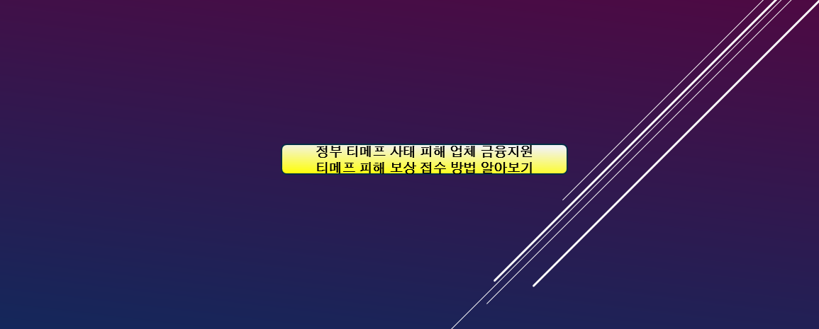 티메프 금융지원