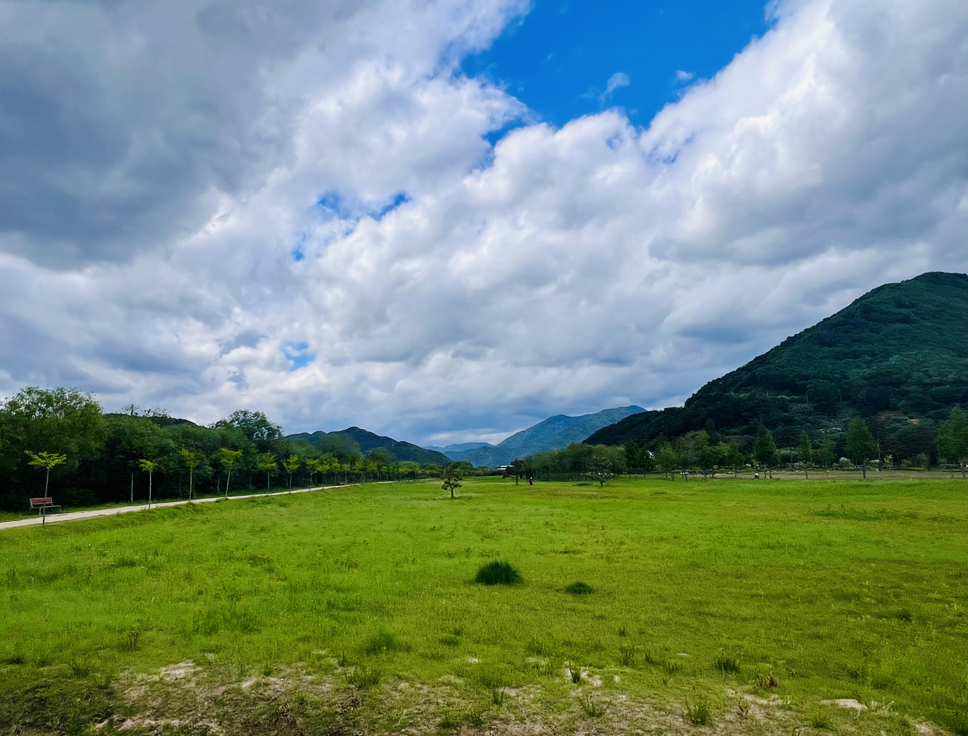 황산공원 도보 산책길
양산 걷기 좋은 길