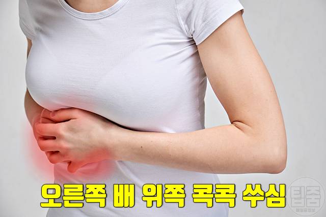 담석증 증상 초기증상 복통 배통증 명치