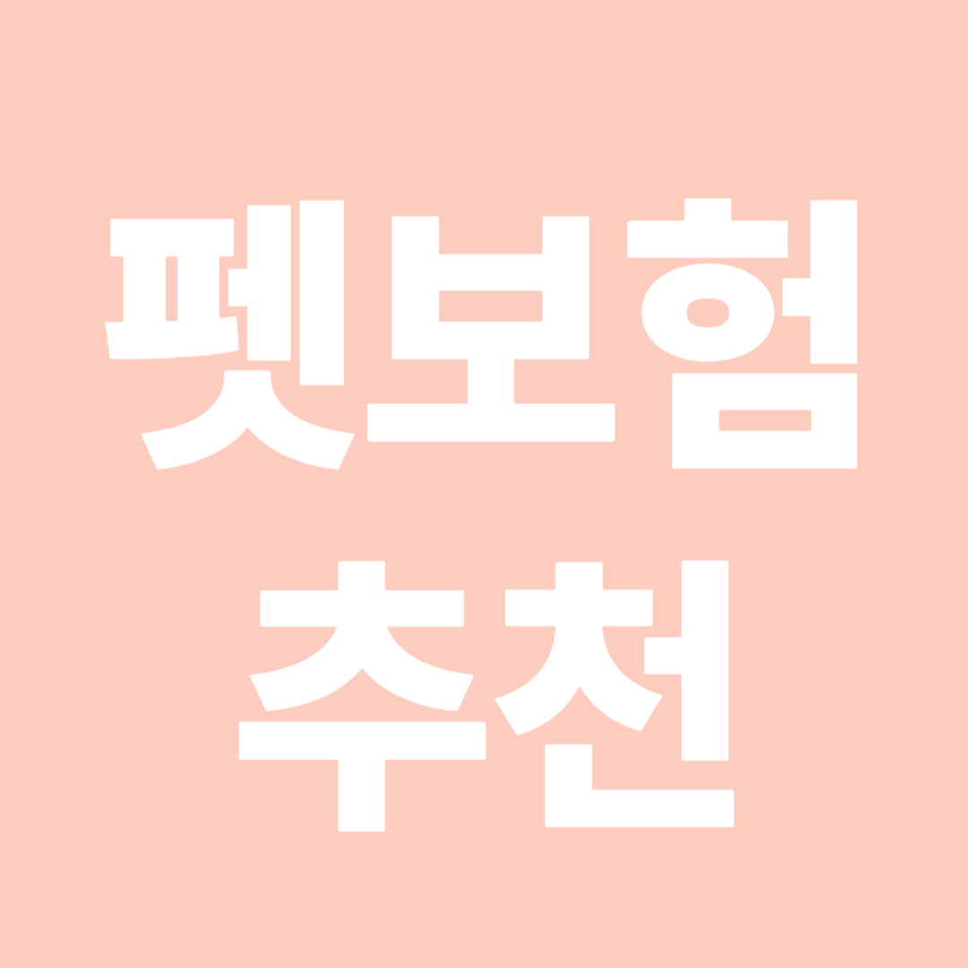 펫보험추천 반려동물보험 펫보험비교 강아지보험추천 사진