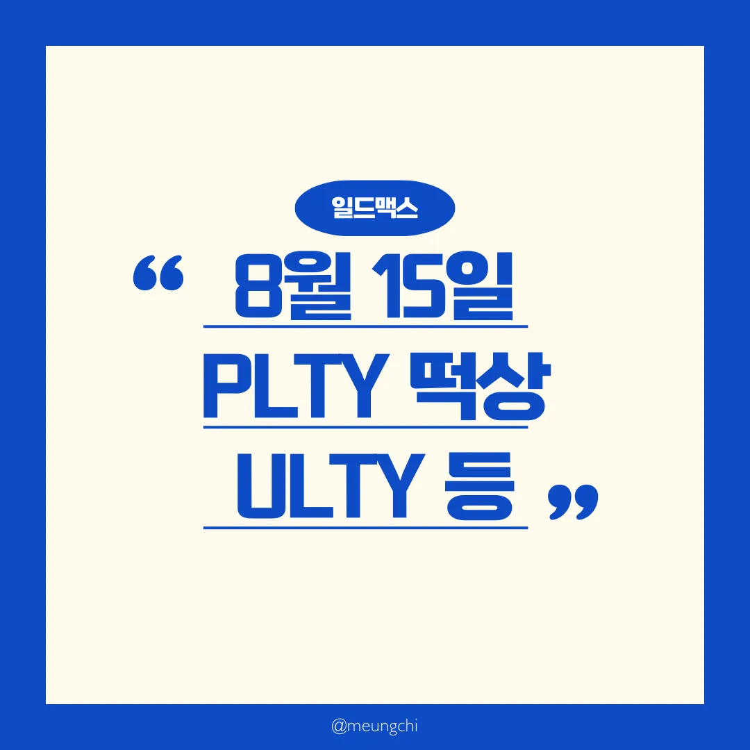 일드맥스 비그룹 PLTY 배당금 192% 상승 썸네일 2025년 8월 15일