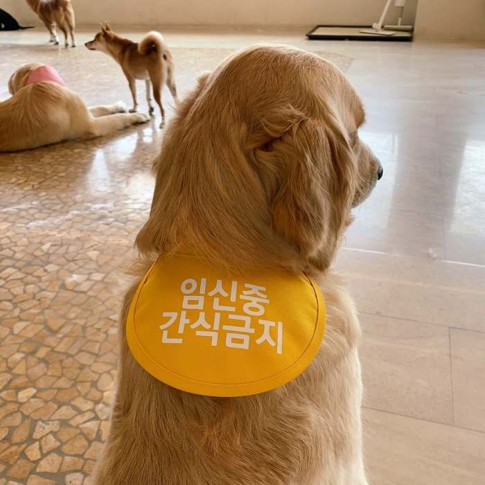 생생정보 틈새 알바 이거 어때