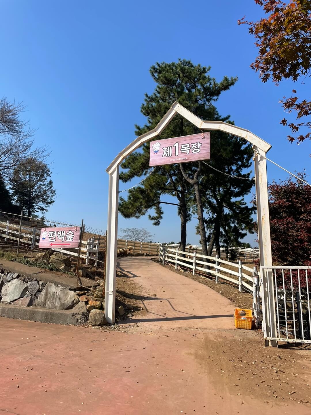 남해 상상양떼목장