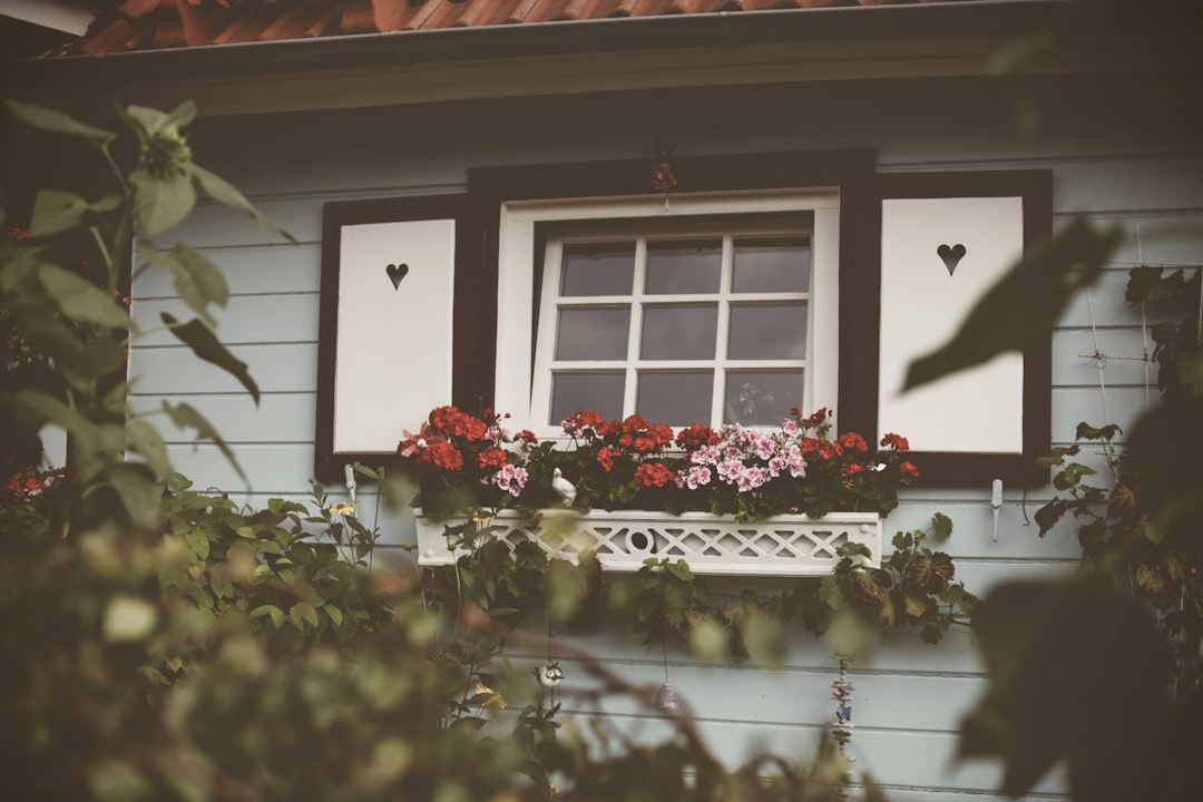 가장 중요한 명사 빈집 → 영어 vacant houses.