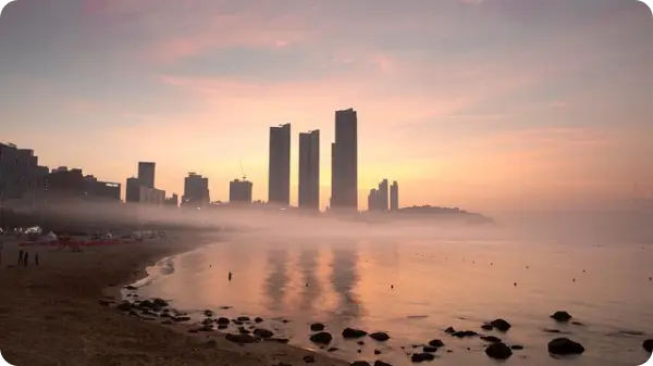 2025 해수욕장 개장 정보