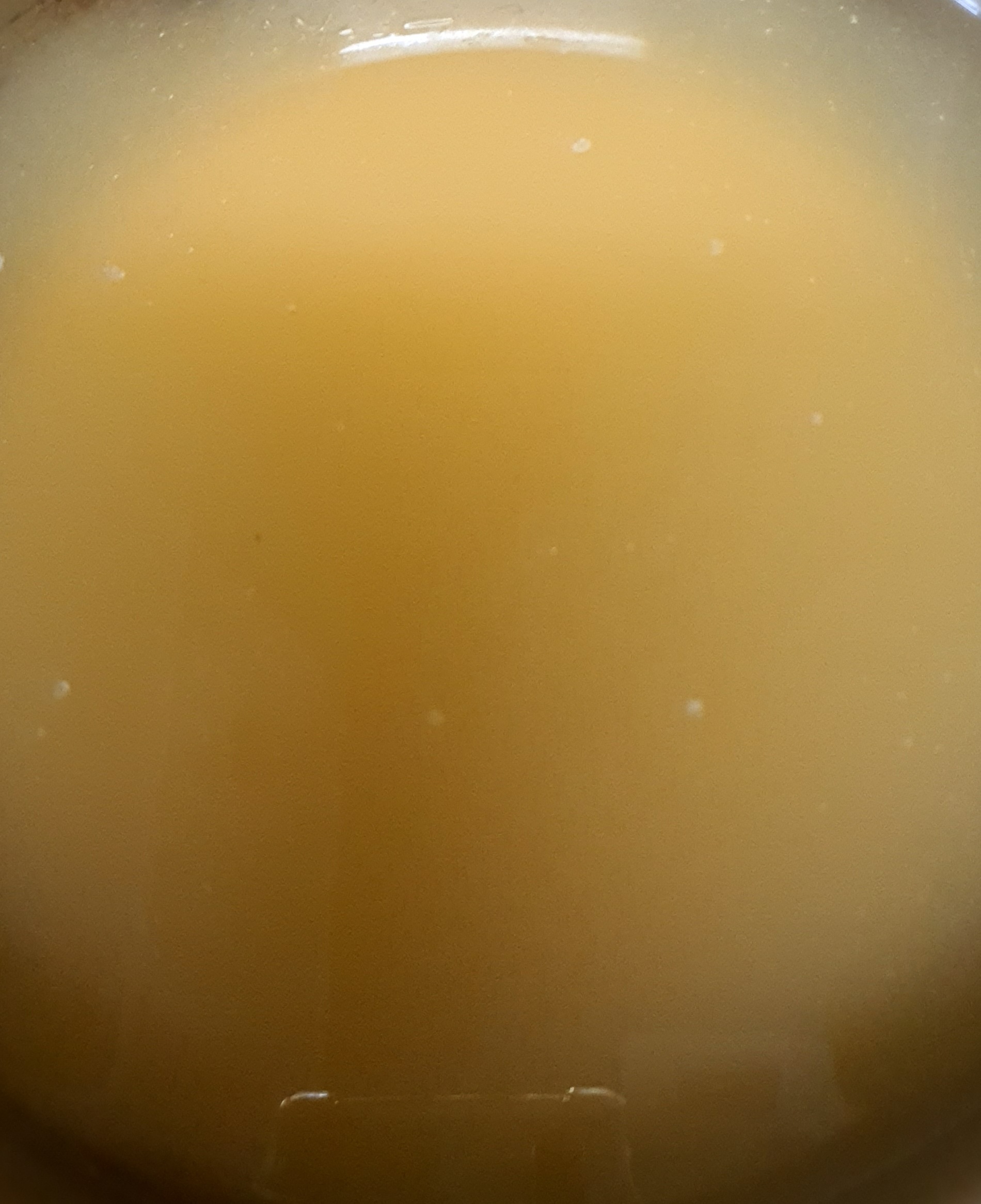 육수가-아주-잘-나왔어요.