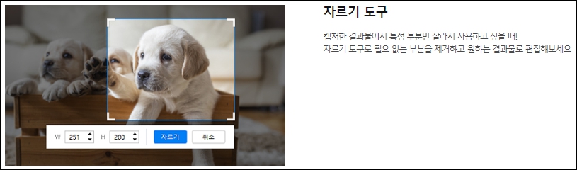 자르기 도구
