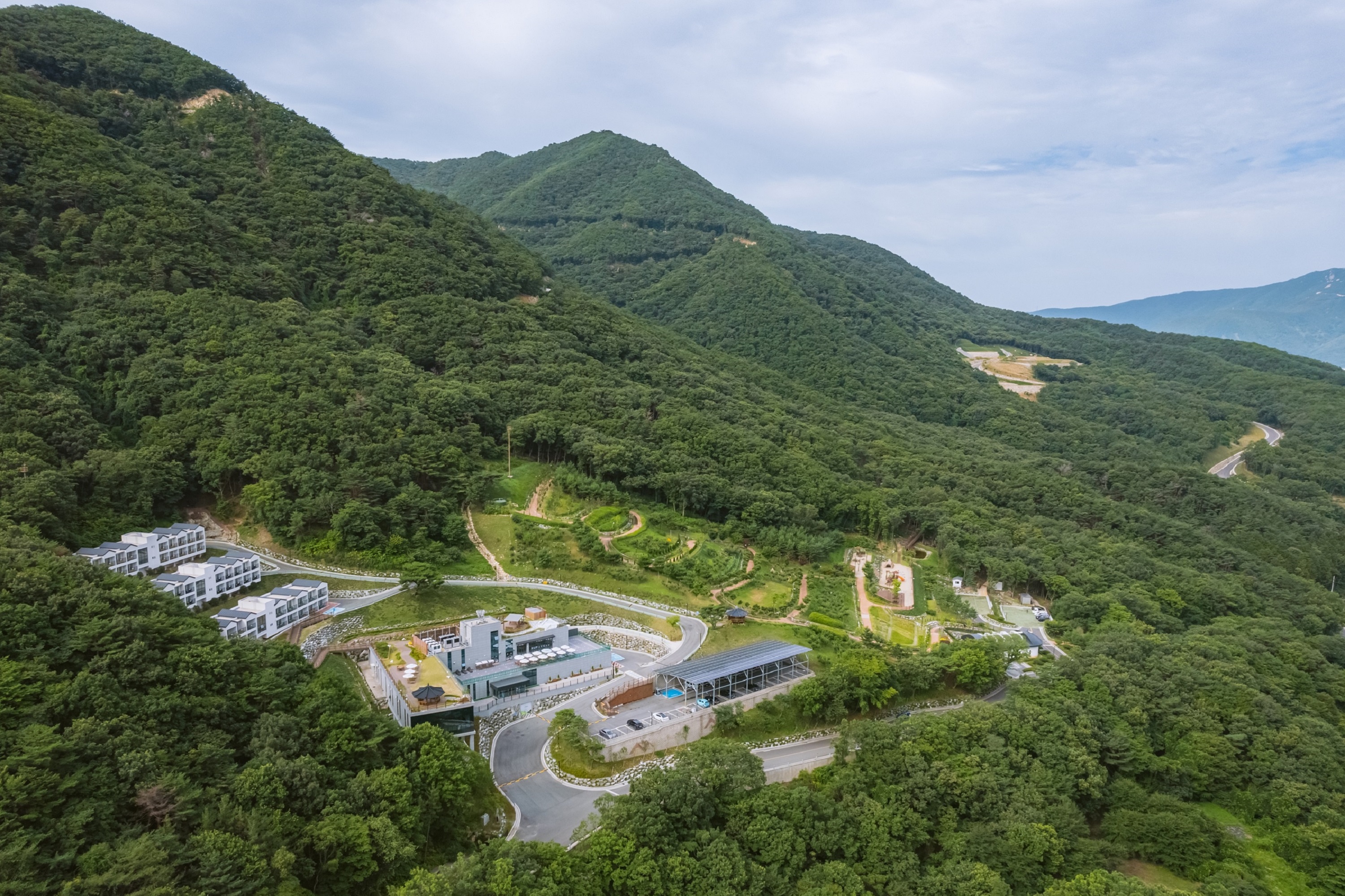 숲에서 전 경 사진