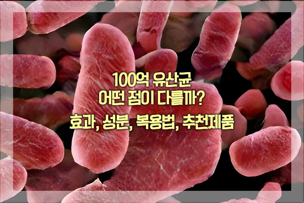 100억 유산균 효과 성분 복용법 추천제품
