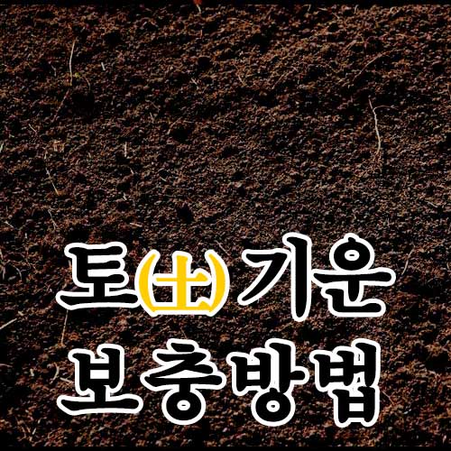 토기운 보충 방법
