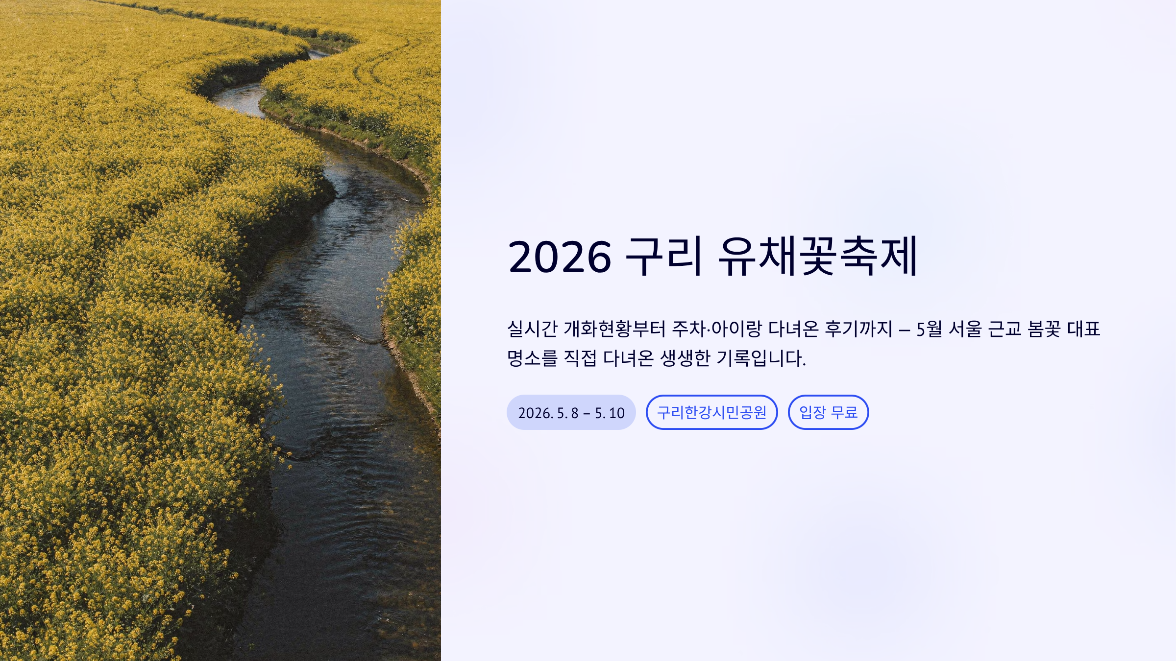 2026 구리 유채꽃축제