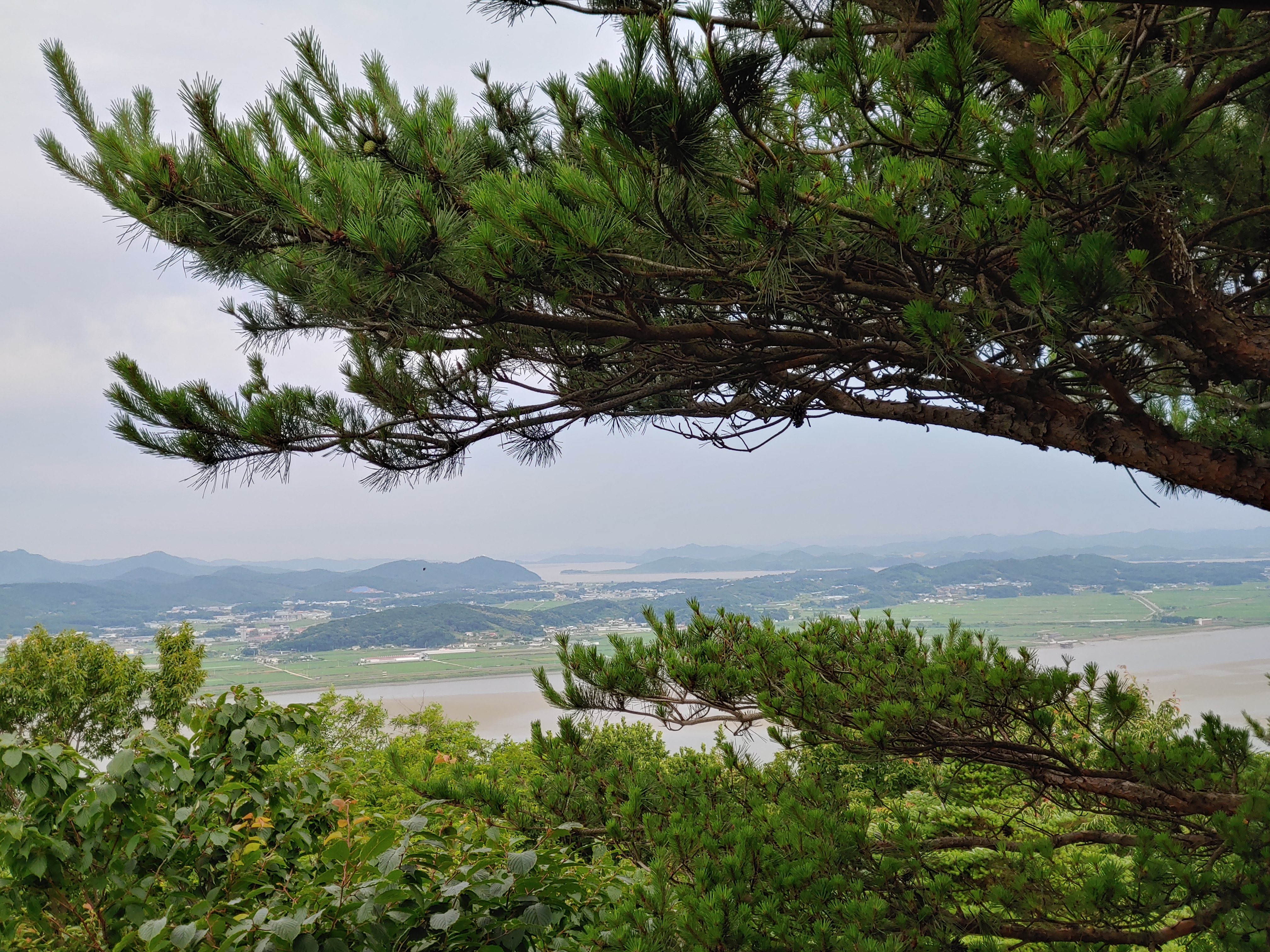 심학산14