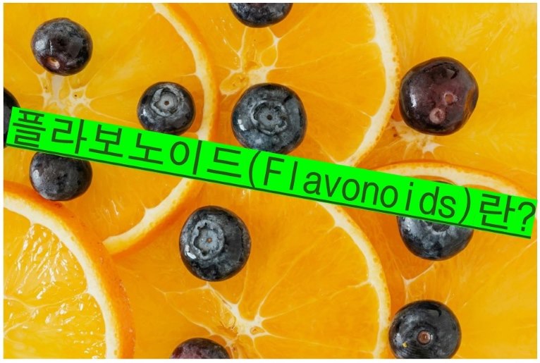 플라보노이드가 풍부하게 함유된 오렌지, 블루베리 사진과 그 위에 쓰여진 '플라보노이드(Flavonoids)란?'이라는 문구