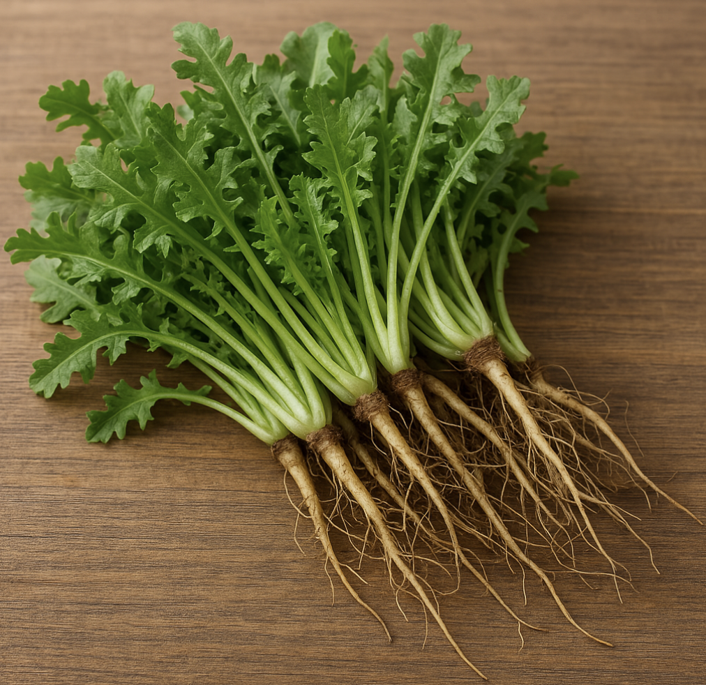 봄철 냉이 이미지