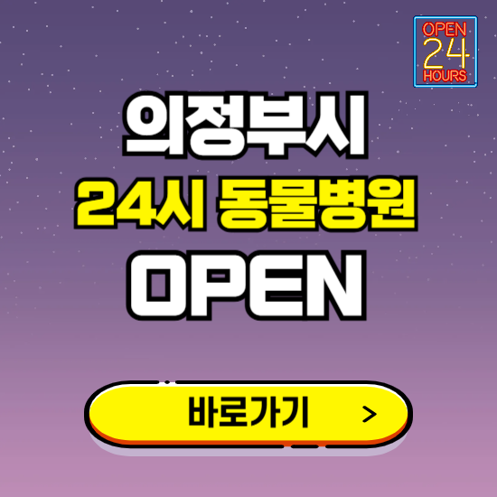 의정부시 24시 동물병원 진료하는 곳 ❘ 설날 휴일 야간 심야 문여는곳 찾기 ❘ 응급진료