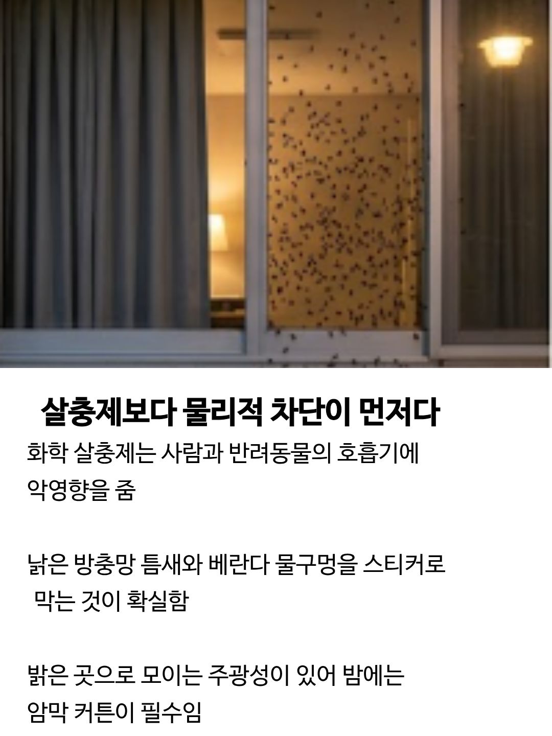 러브 버그 출몰시기