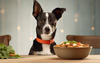 강아지/출처:어도비스톡